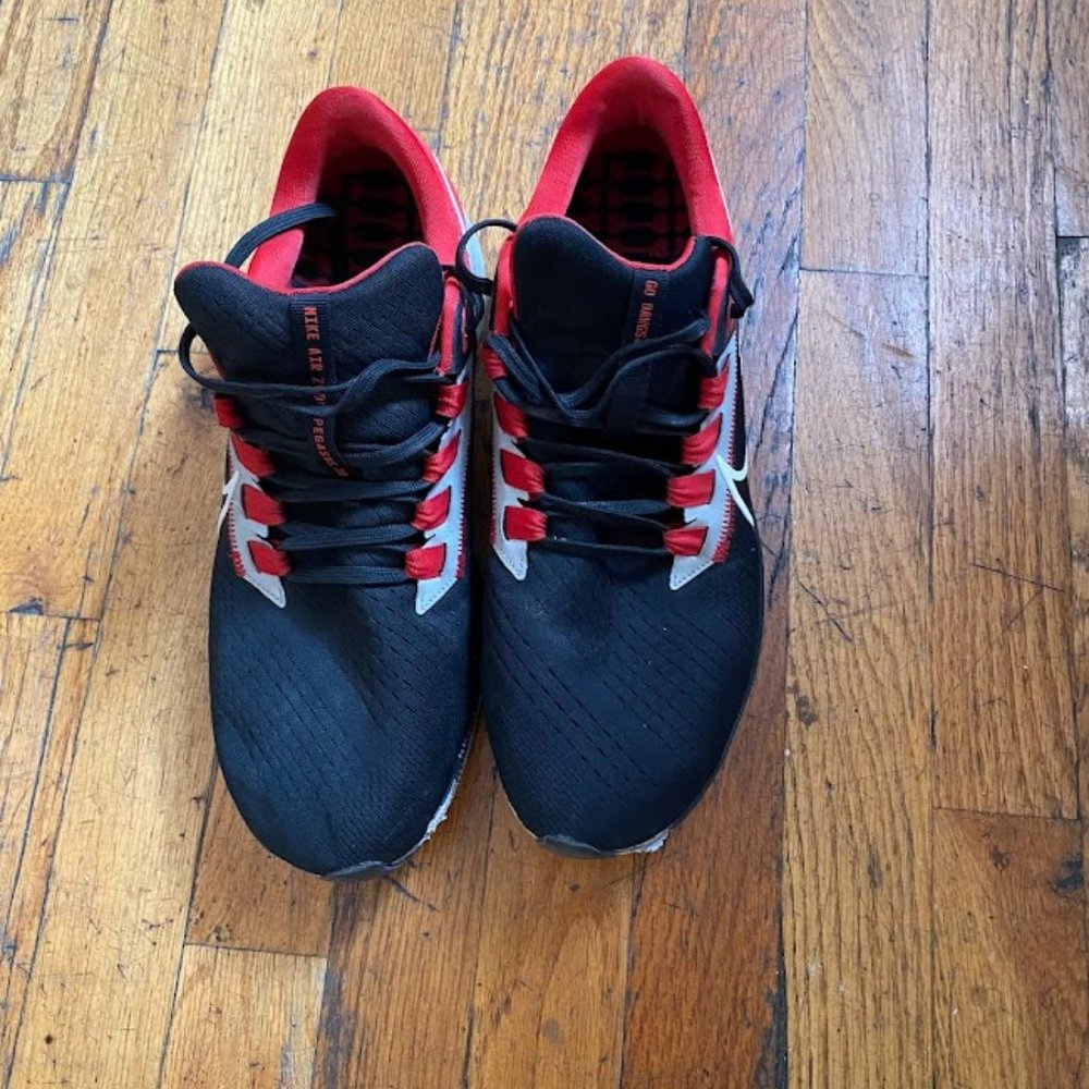 Nike Pegasus 10.5